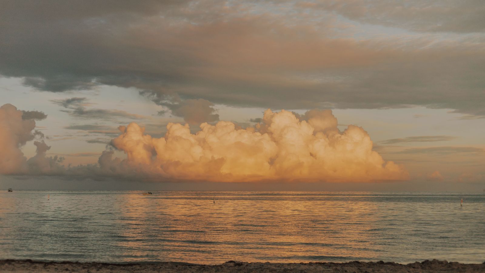 Barbados Airport Transfer BGI | Private Chauffeur