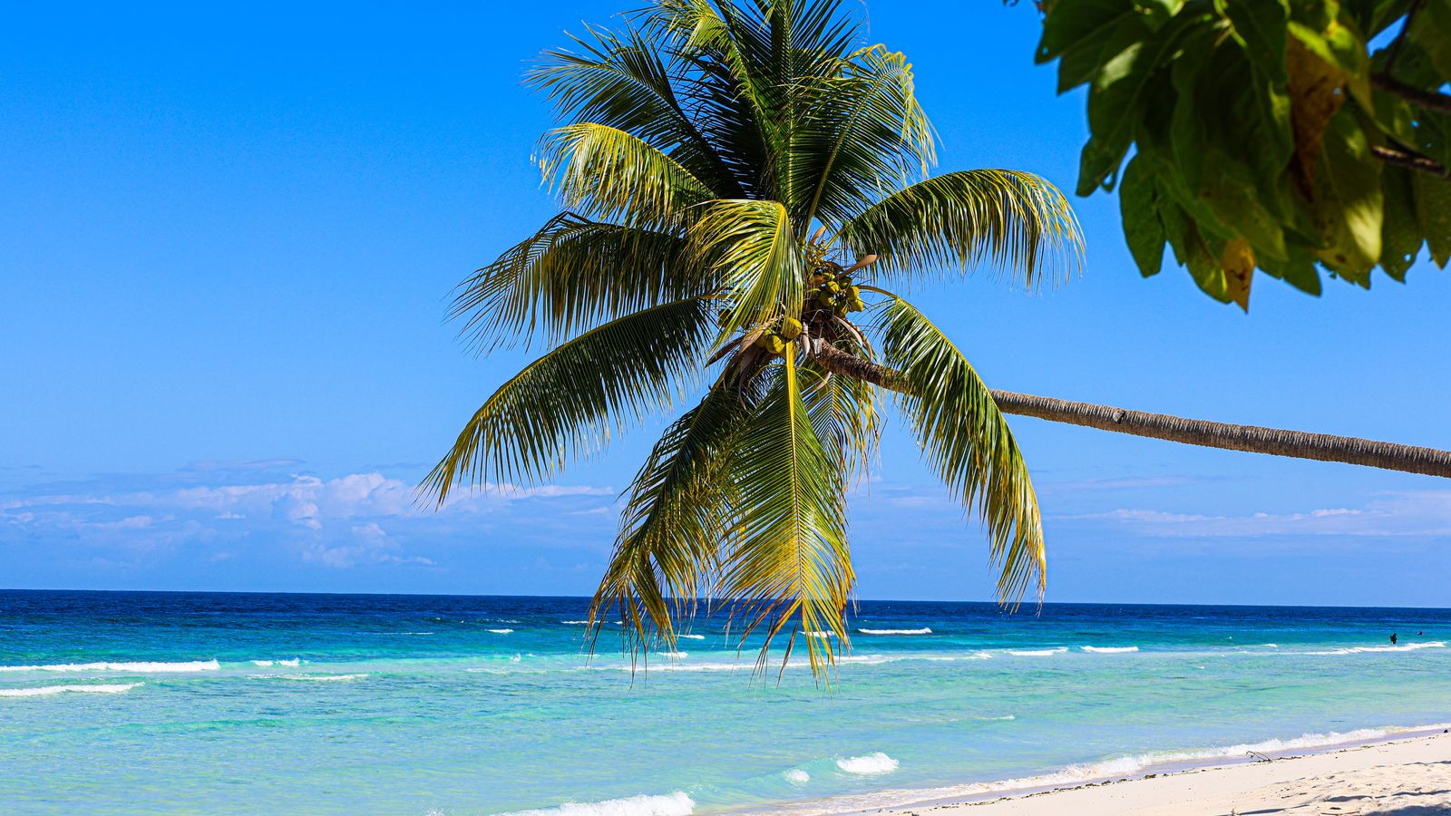 Grand Cayman Airport Transfer GCM | Chauffeur Service