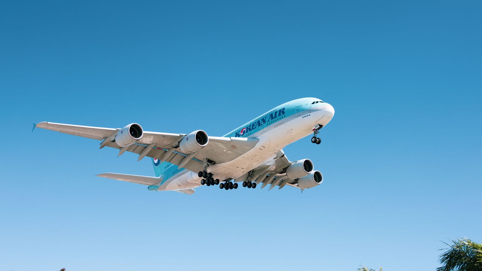 Honolulu Airport Car Service | HNL to Waikiki Chauffeur