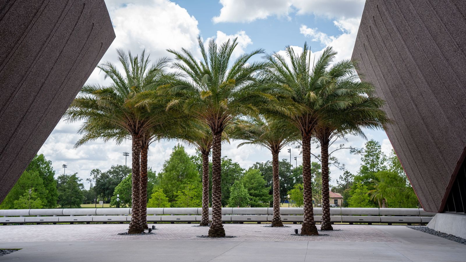 Orlando Airport Car Service & Limo | MCO Transfers
