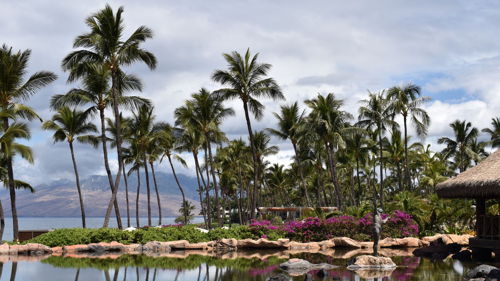 Maui Airport Car Service | OGG Kahului to Wailea & Kaanapali