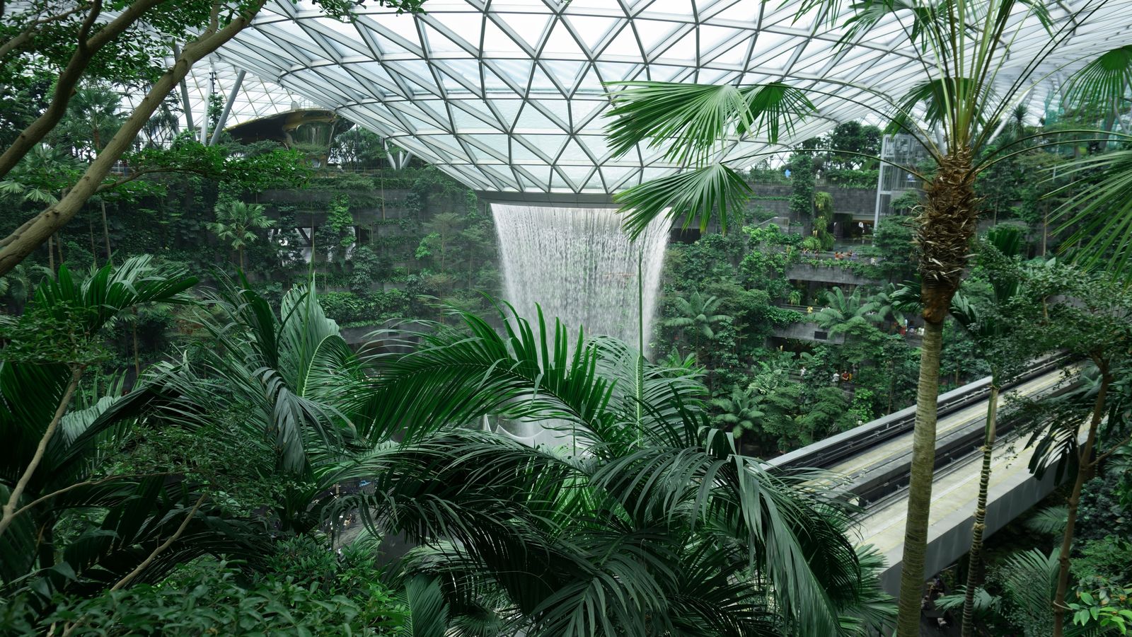 Changi Airport Transfer | SIN Chauffeur & Limo Service