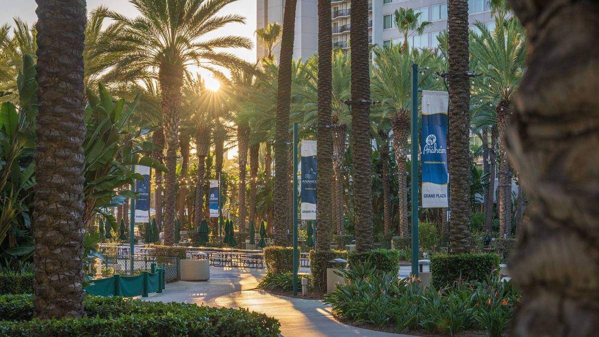 Chauffeur Service Anaheim | Disneyland & SNA/LAX Transfers