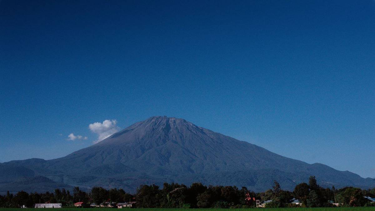 Chauffeur service in Arusha: Kilimanjaro airport transfers and safari handovers
