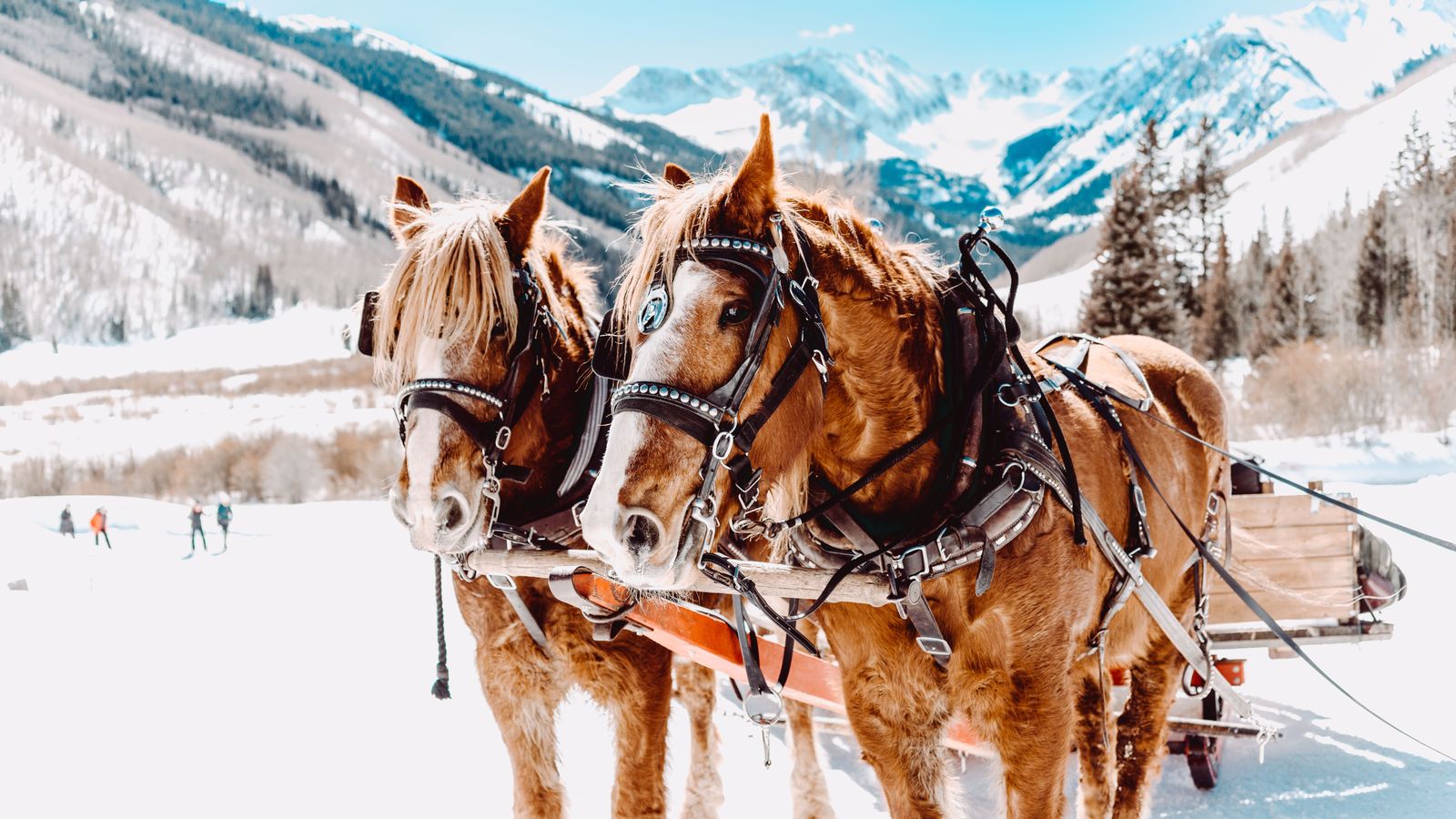 Chauffeur Service Aspen | ASE, Eagle & Denver Airport Cars