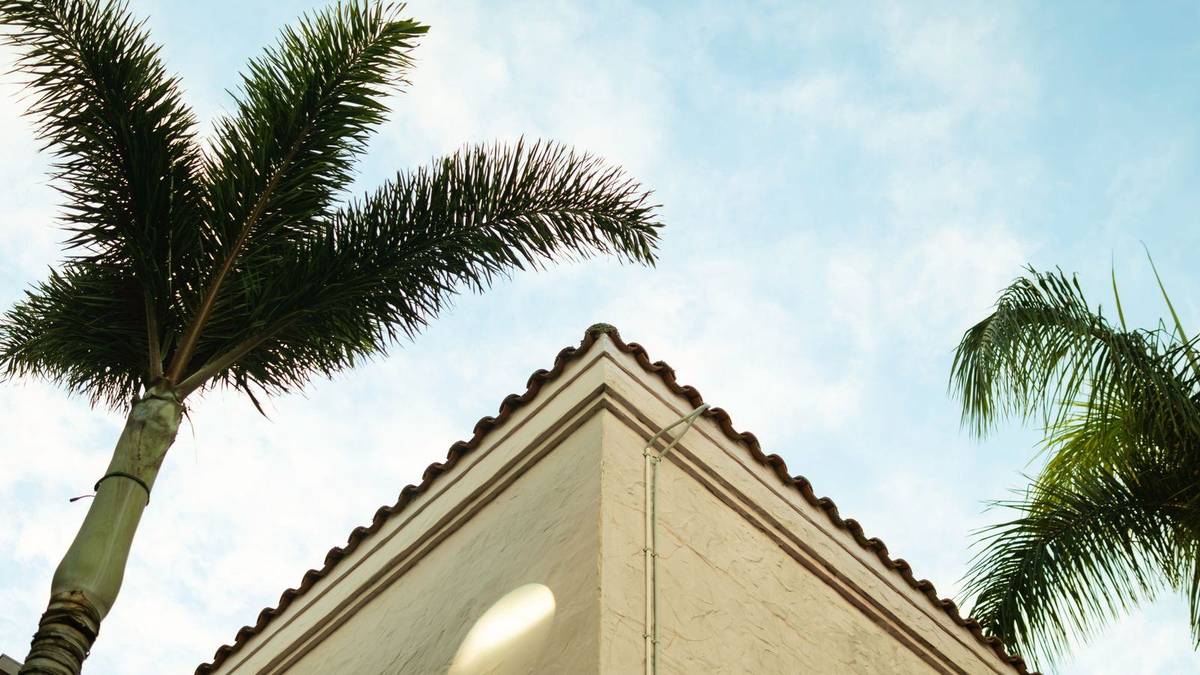 Chauffeur service in Boca Raton: FLL and Palm Beach airport transfers