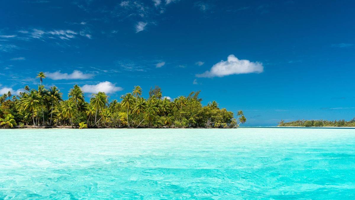 Bora Bora chauffeur service: Tahiti transfers and flight handovers