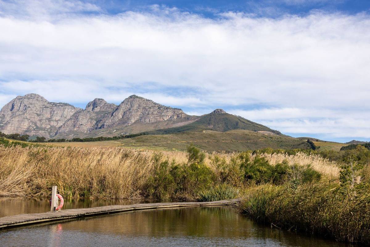 Vineyards and mountains on the road to Stellenbosch