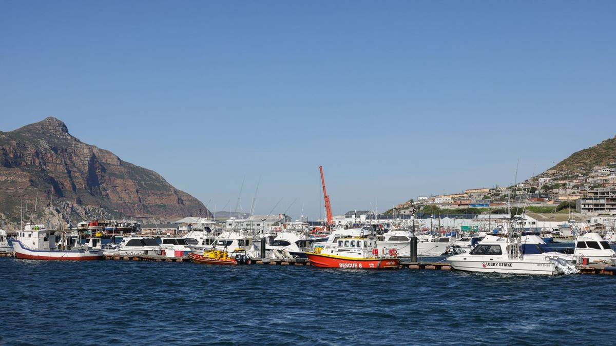 Chauffeur Service Cape Town | Airport, Cruise & Winelands