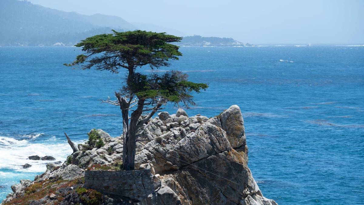 Carmel airport transfer and chauffeur service: MRY, SJC, Pebble Beach and Big Sur