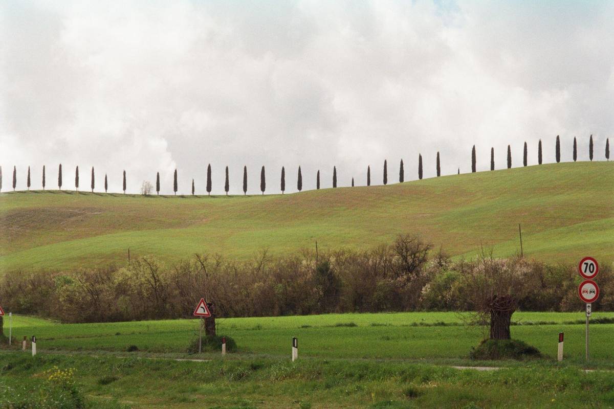 Cypress-lined road through the Tuscan hills