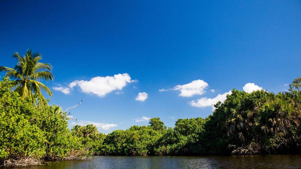 Chauffeur Service Fort Myers | RSW Airport Transfers