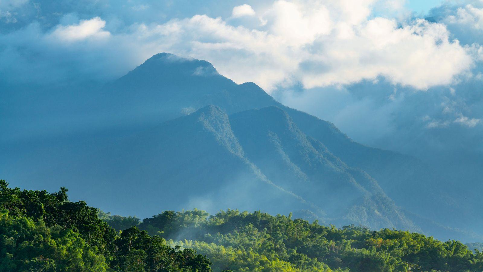 Chauffeur service in Kingston, Jamaica: KIN airport transfers and business cars