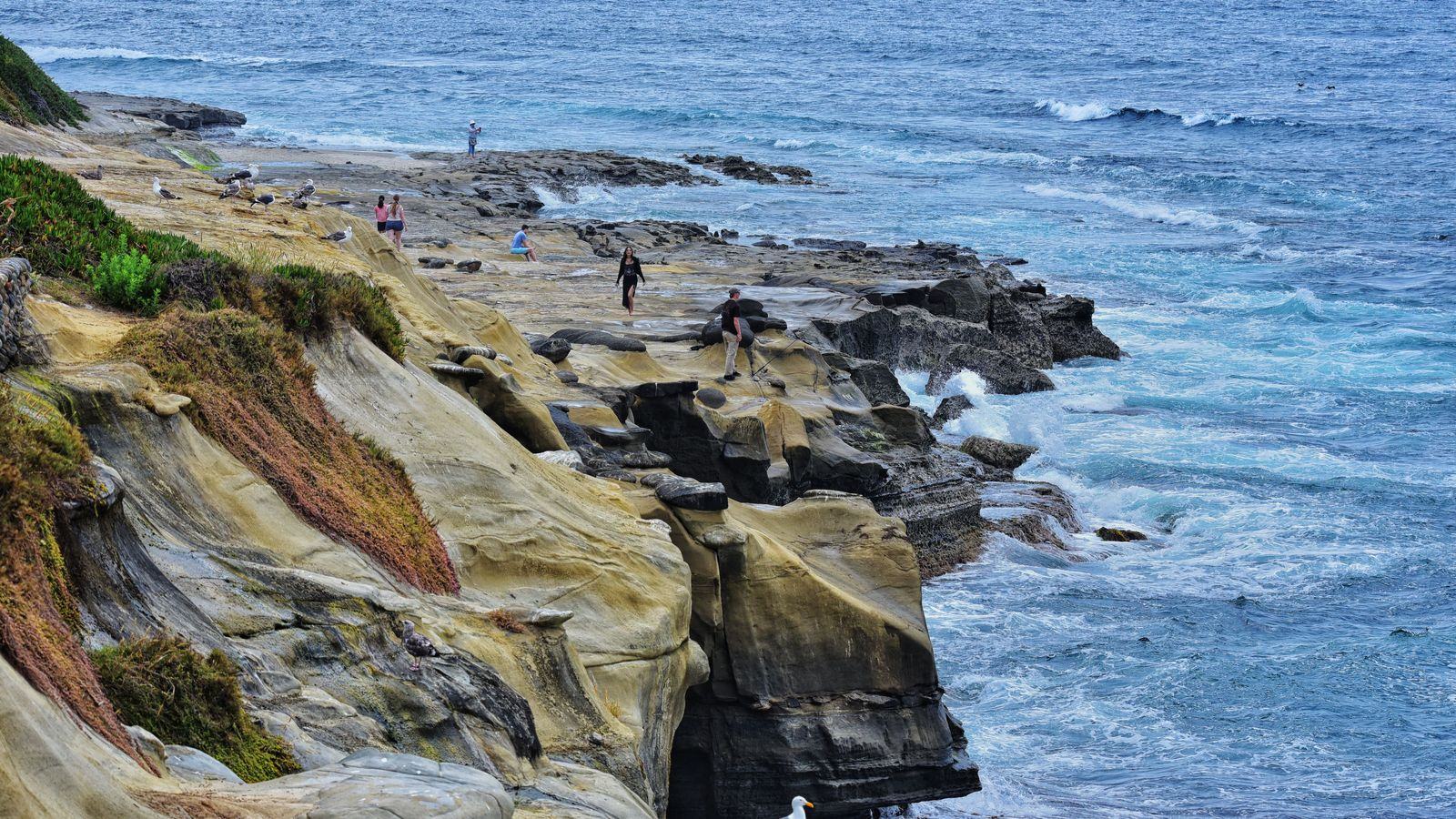 Chauffeur service in La Jolla: San Diego airport transfers, black cars and coastal trips