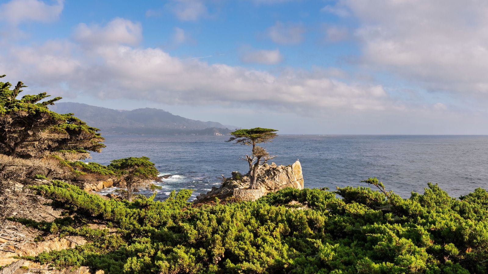 Chauffeur Service Monterey | Pebble Beach & Car Week Cars