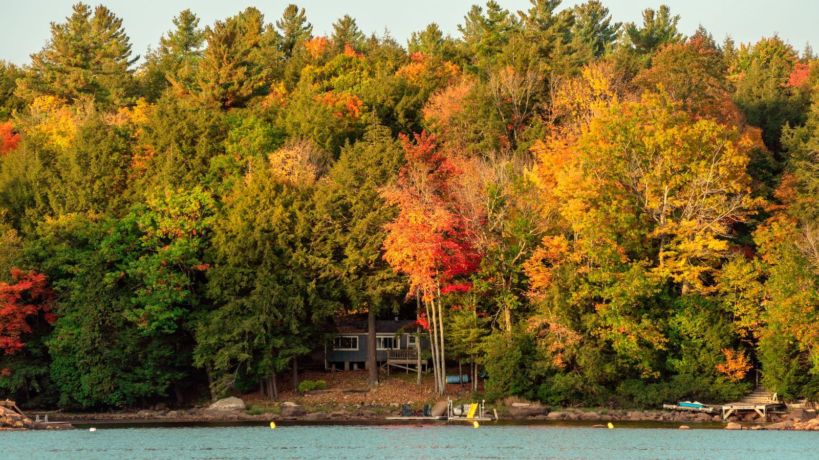 Muskoka car service: Toronto Pearson to cottages, marinas and lake resorts