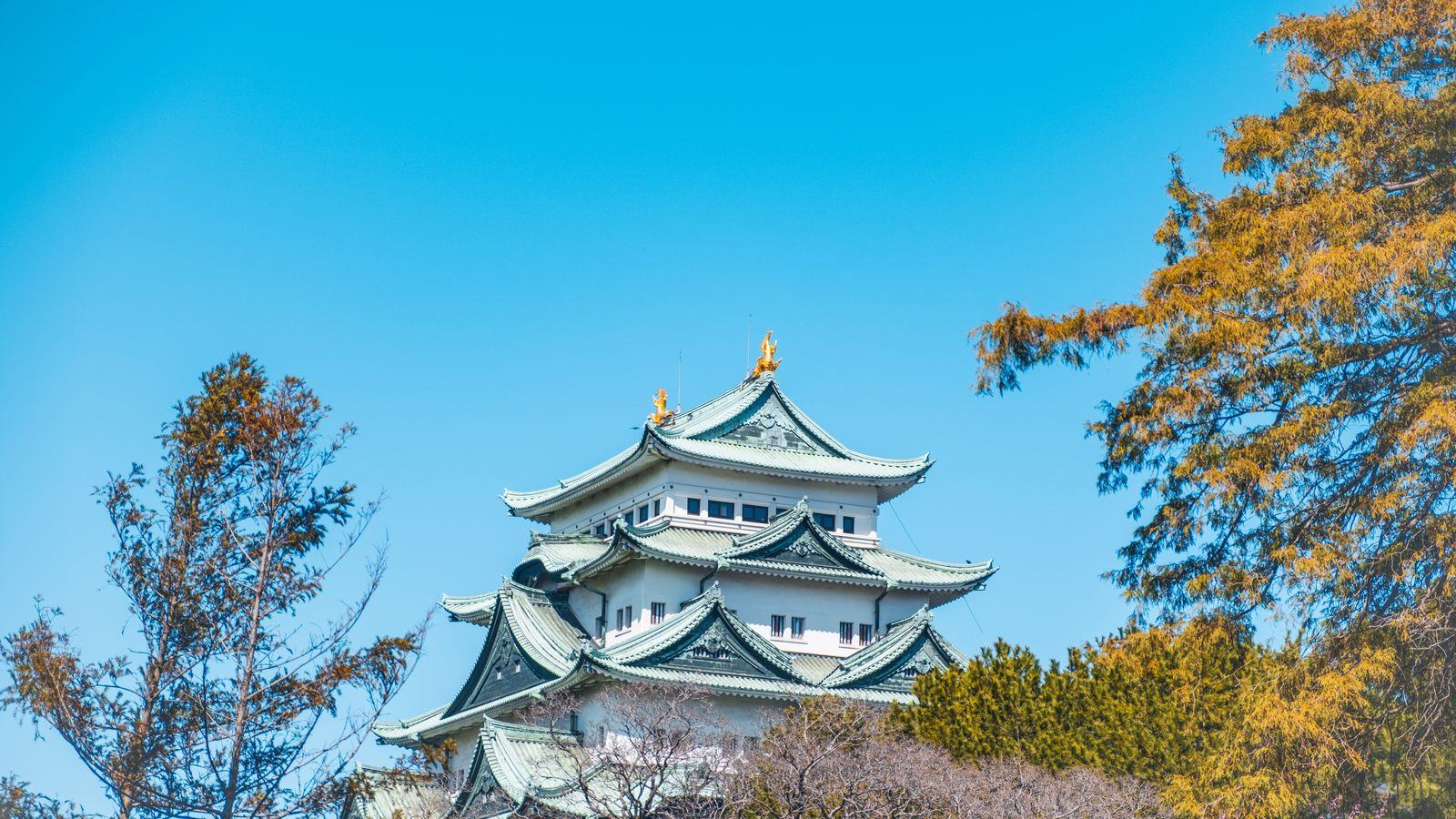 Chauffeur Service Nagoya | Centrair Airport & Toyota Region