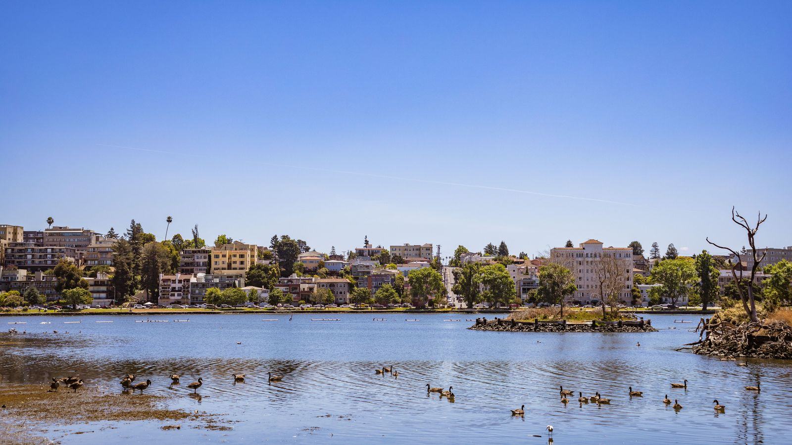 Black car service in Oakland: OAK airport transfers, chauffeurs and Bay Area travel