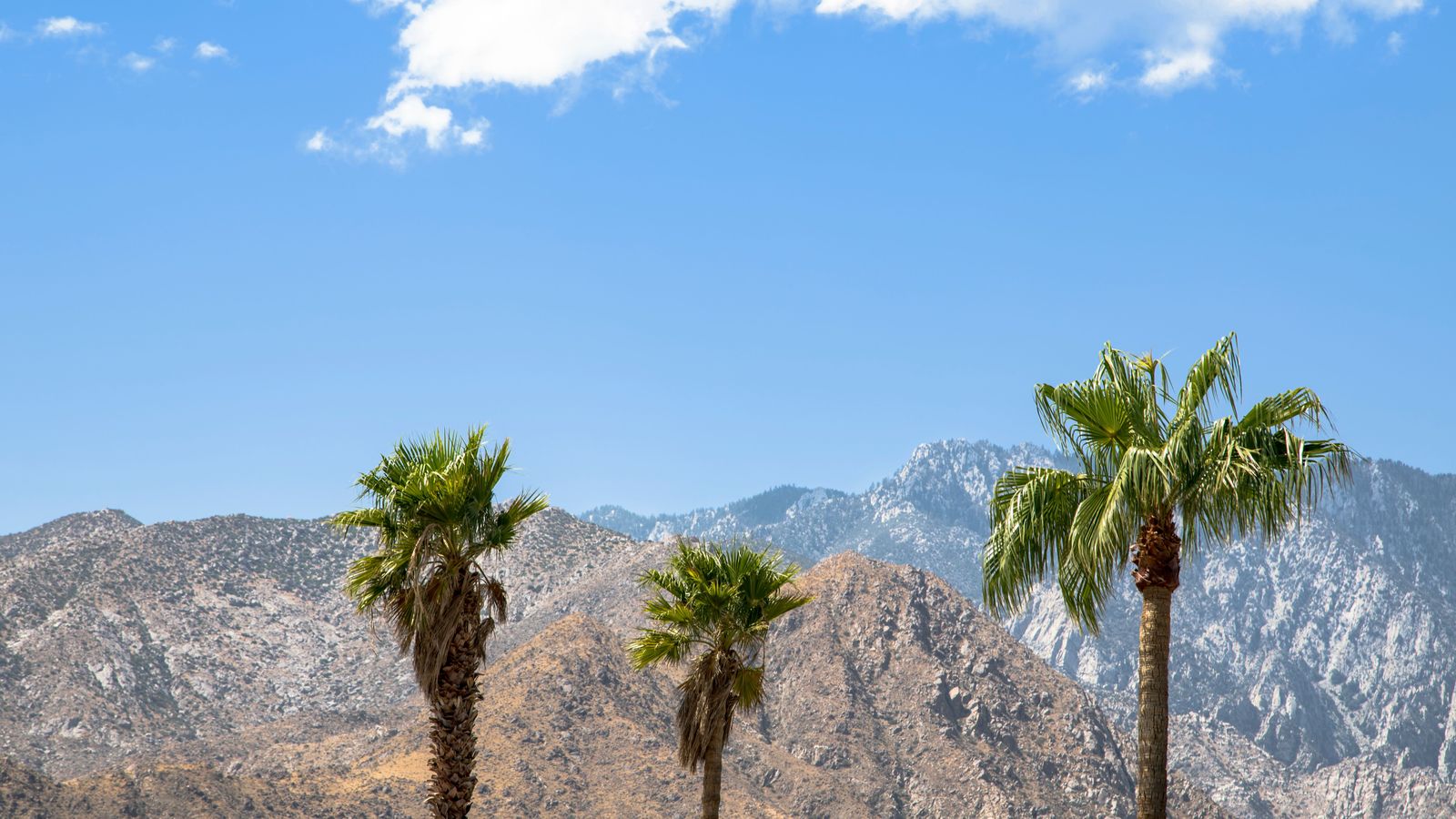 Palm Springs car service: PSP airport transfers, desert resorts and festival chauffeurs