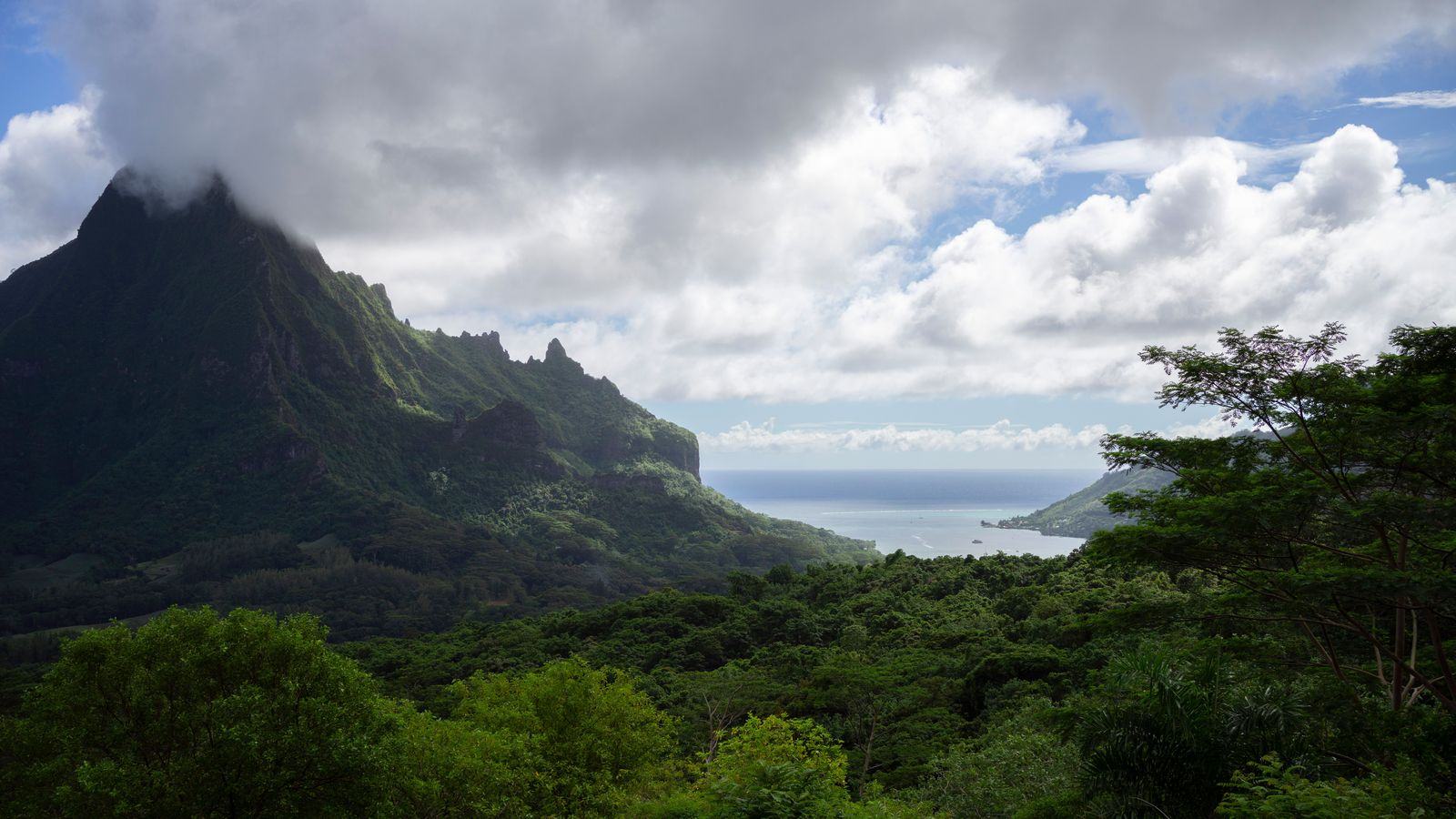 Chauffeur Service Papeete | Faa'a Airport & Cruise Transfers