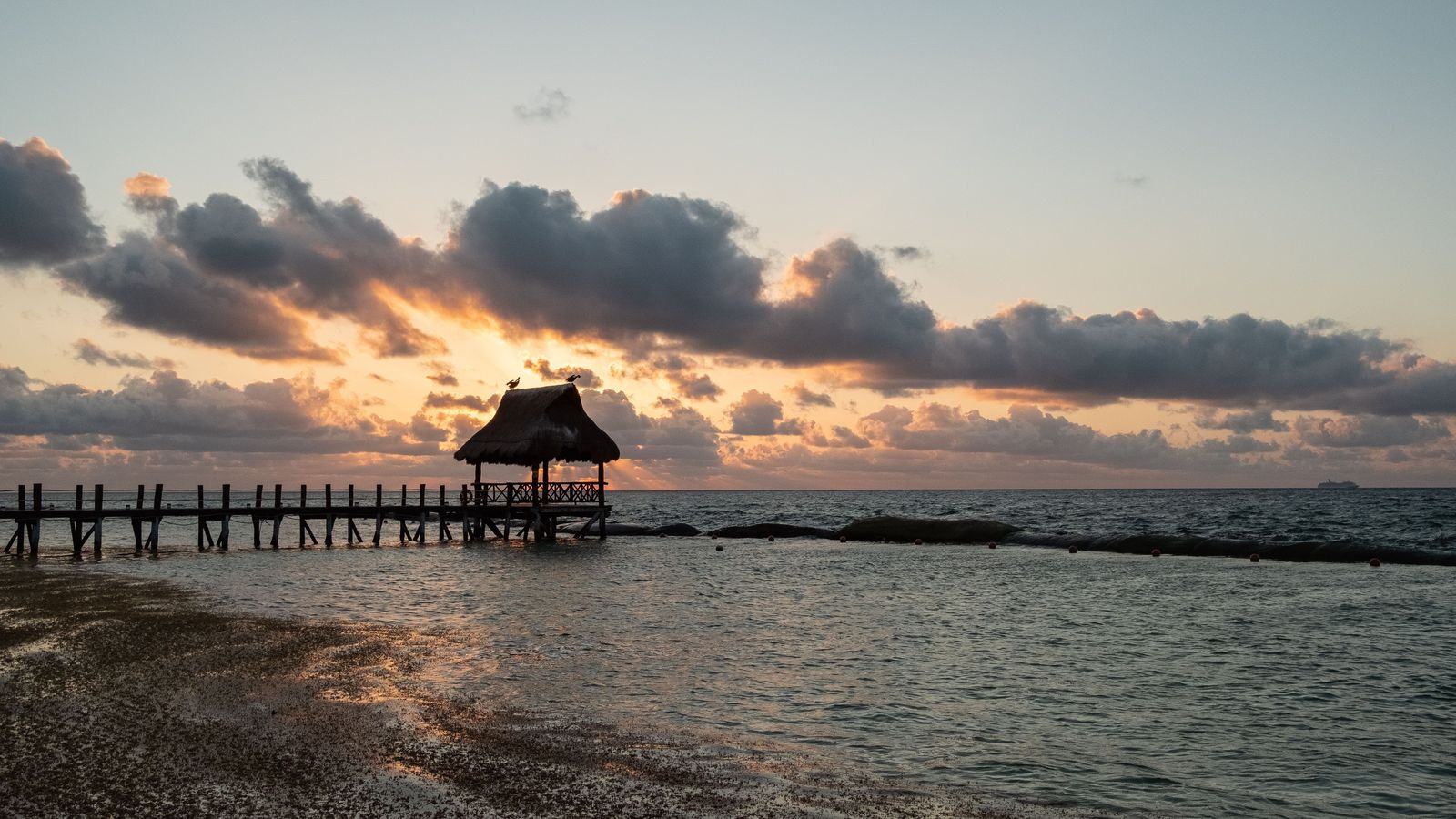 Playa del Carmen Airport Transfers & Chauffeur | CUN, TQO