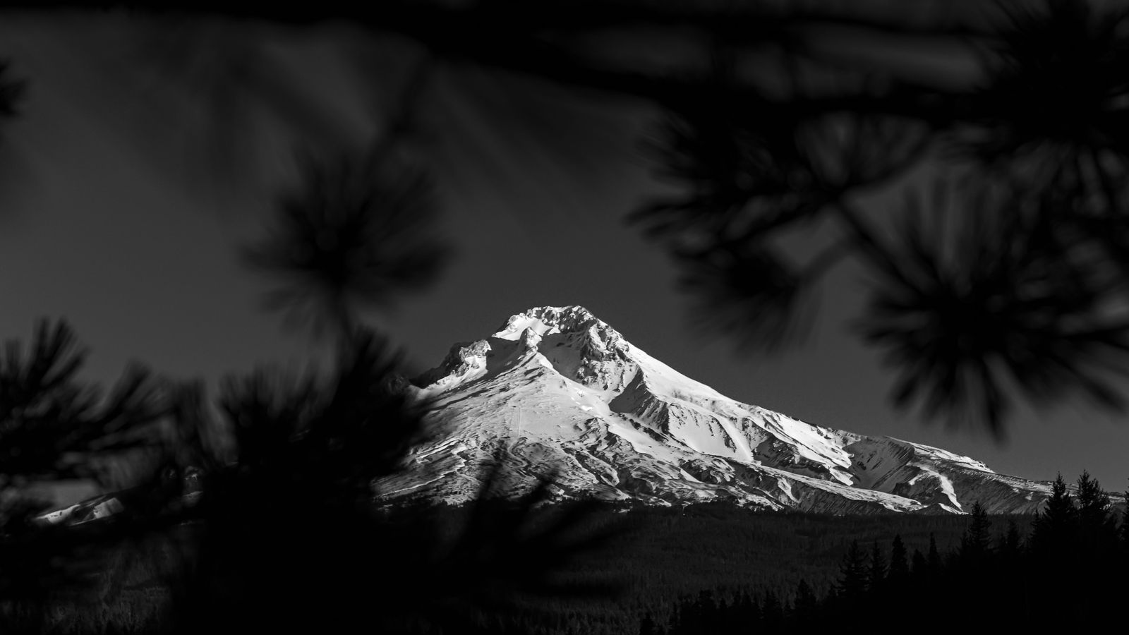 Portland car service: PDX airport black cars and chauffeurs in Oregon