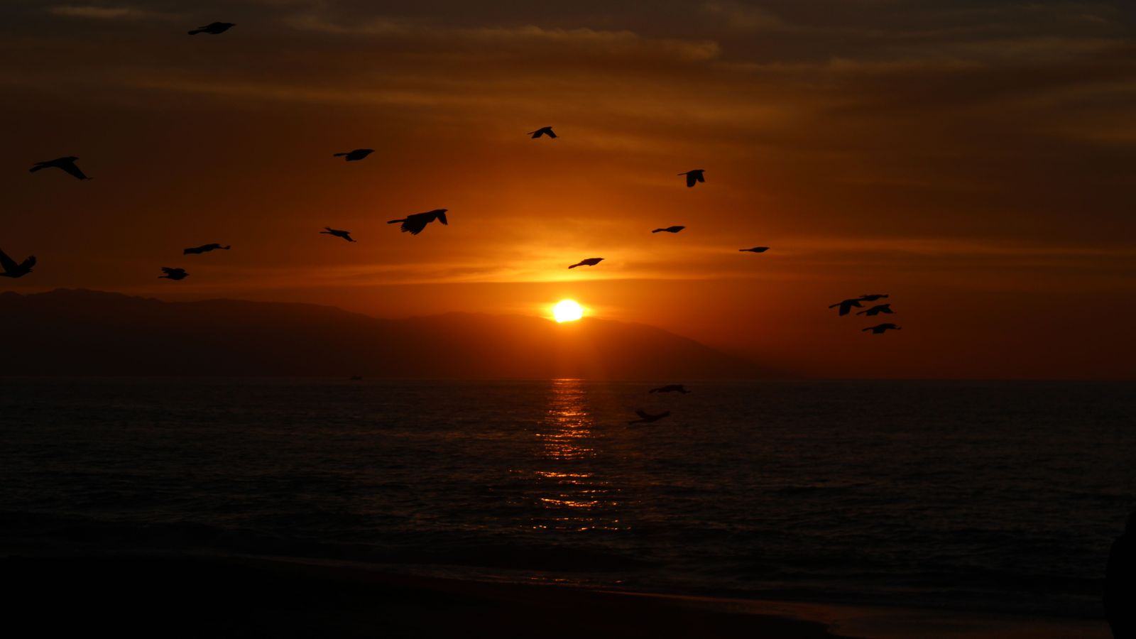 Puerto Vallarta Airport Transfers & Chauffeur | PVR