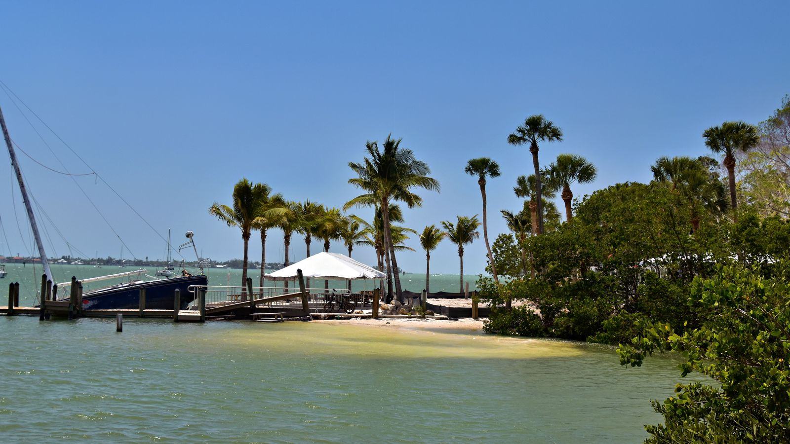 Chauffeur service in Sarasota: SRQ and Tampa airport transfers and black cars