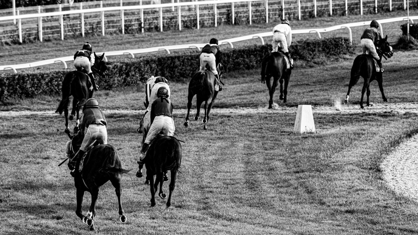 Chauffeur Service Saratoga Springs | Race Course & ALB Cars