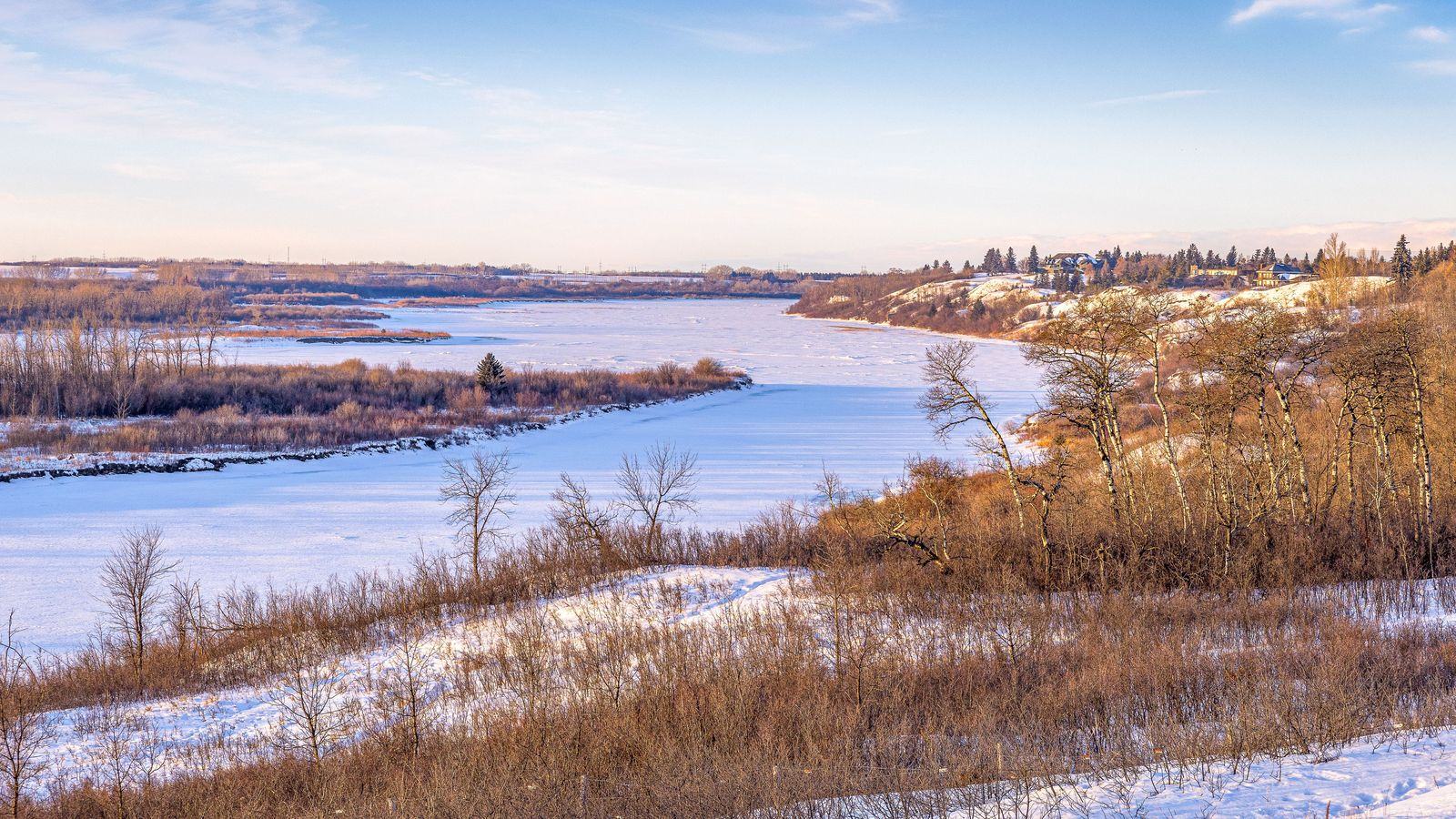Chauffeur service in Saskatoon: YXE airport transfers and executive black cars