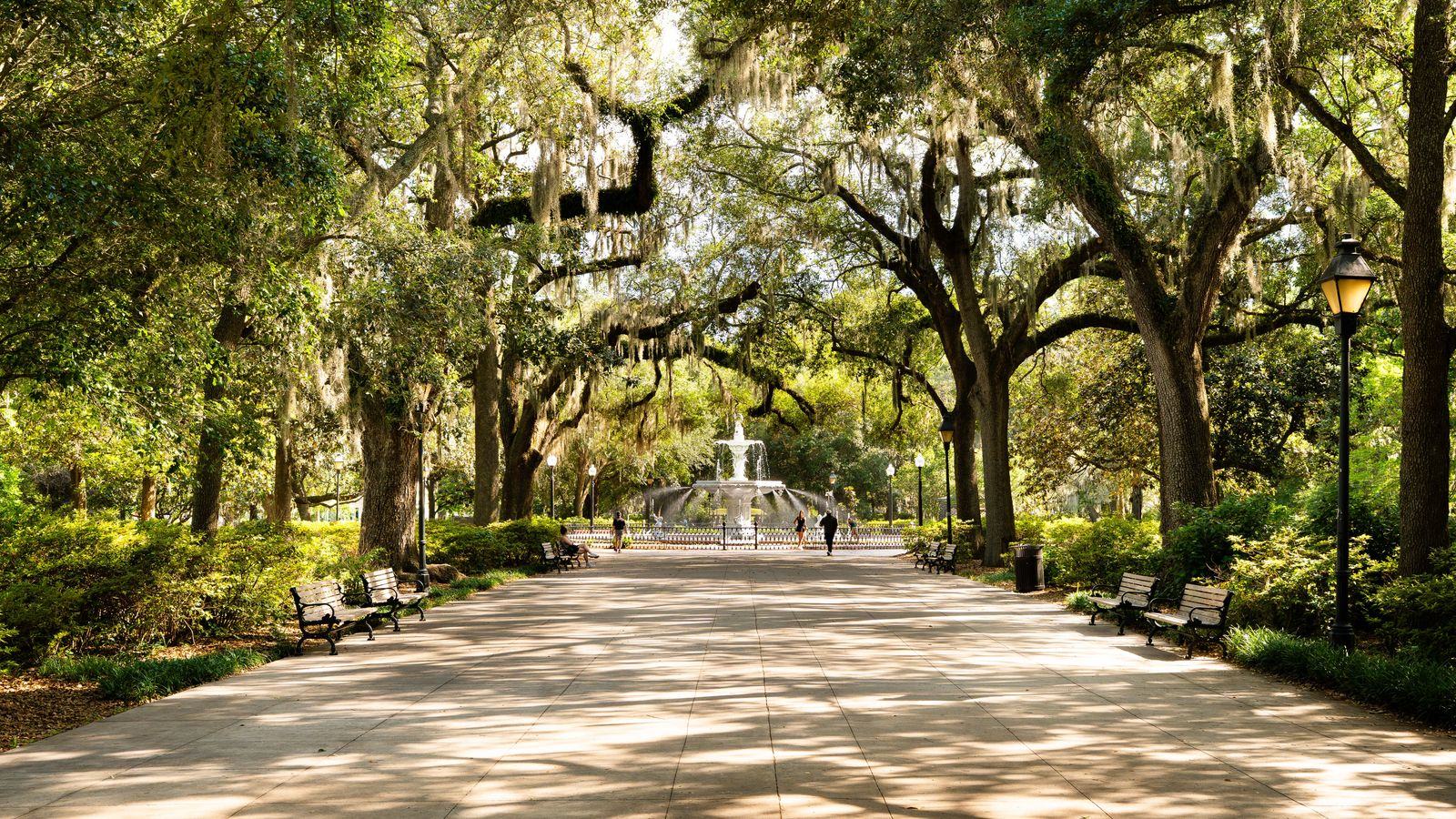 Chauffeur Service Savannah | SAV Airport Transfers & Cars