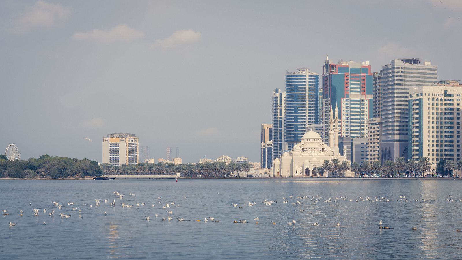 Chauffeur Service Sharjah | SHJ Transfers & Dubai Commute