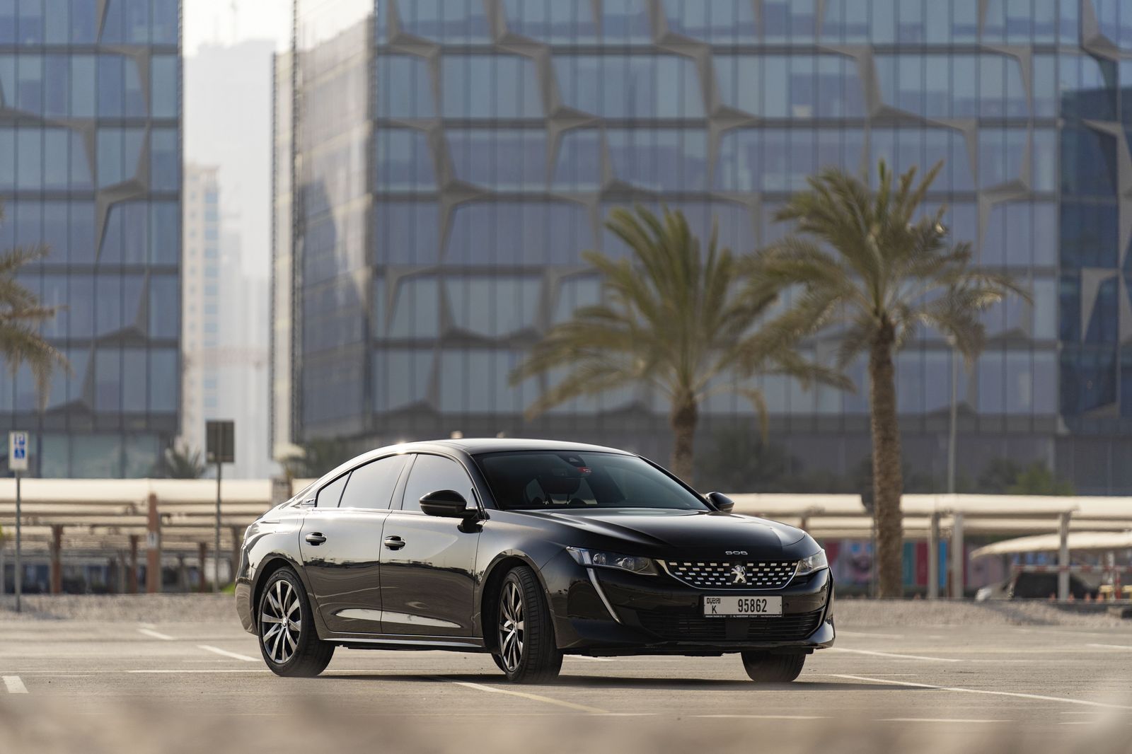 Black sedan on a palm-lined Tampa boulevard