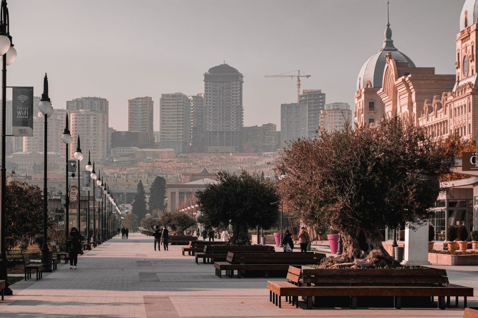 Tree-lined boulevard in central Tel Aviv