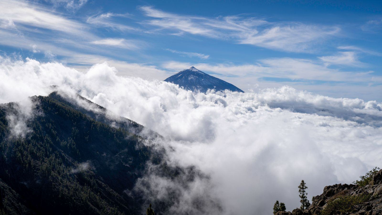 Chauffeur Service Tenerife | TFS & TFN Airport Transfers