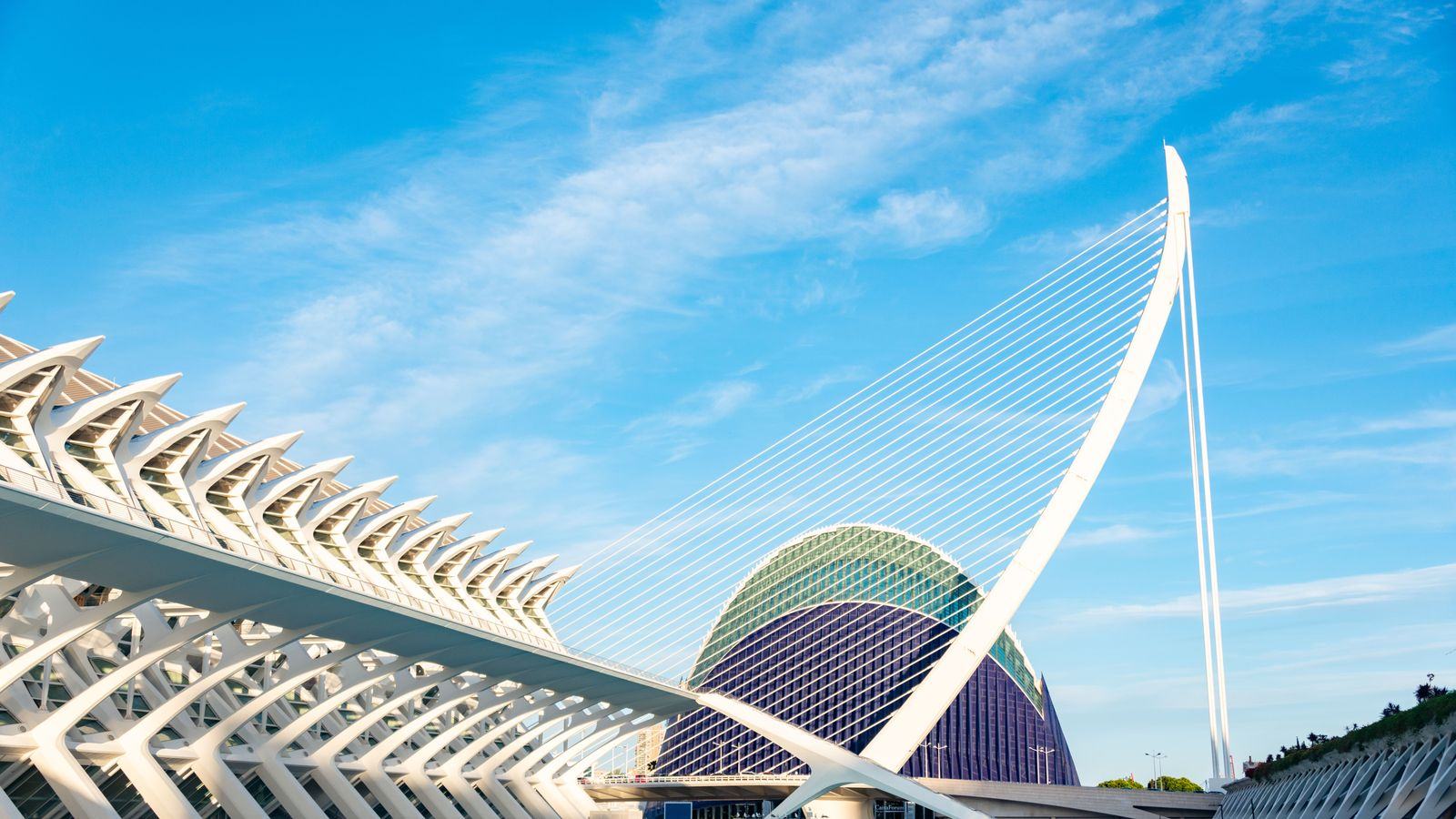 Chauffeur service in Valencia: VLC airport, cruise port and AVE station transfers