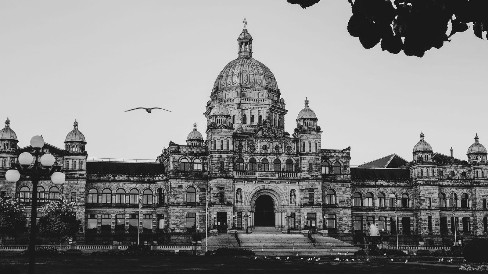 Chauffeur Service Victoria BC | YYJ, Ferries & Floatplanes