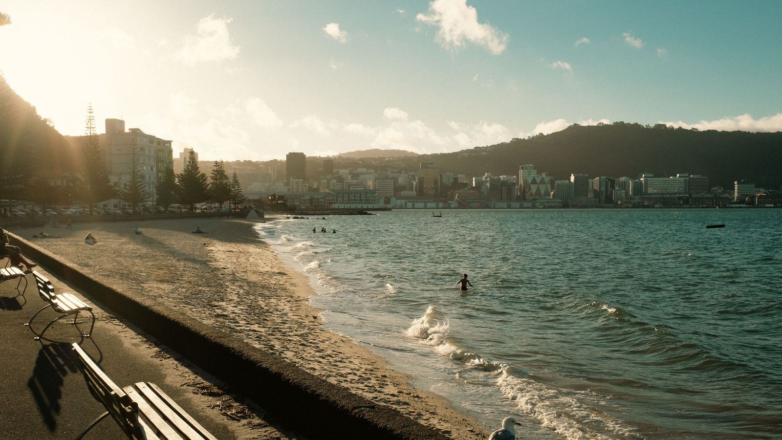 Chauffeur service in Wellington: WLG airport transfers, ferry and cruise pickups, black cars