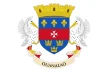 Flag of Saint Barthelemy